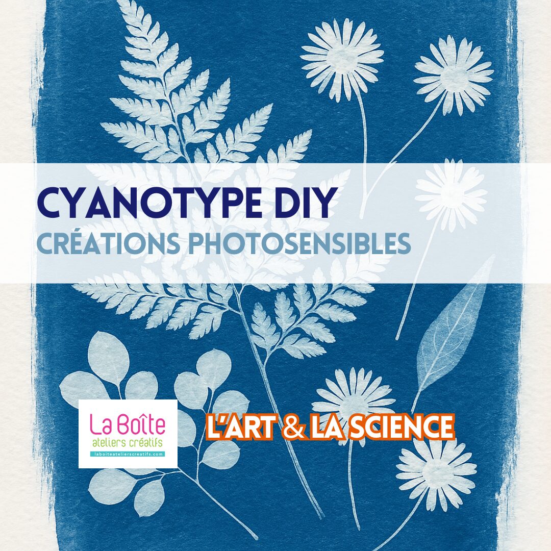 Cyanotype-DIY-creations photosensibles